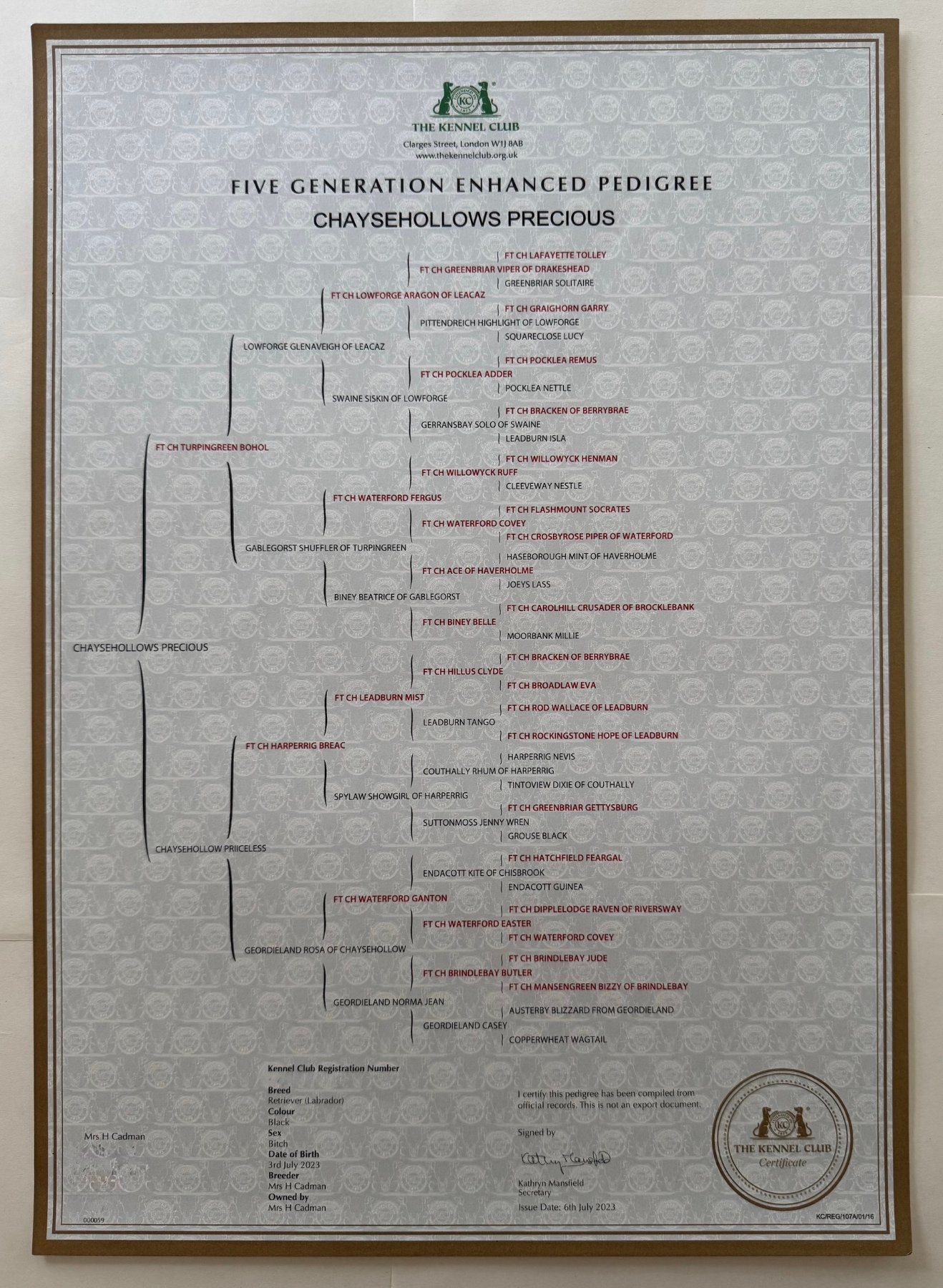 Chaysehollows Precious — official Kennel Club pedigree certificate
