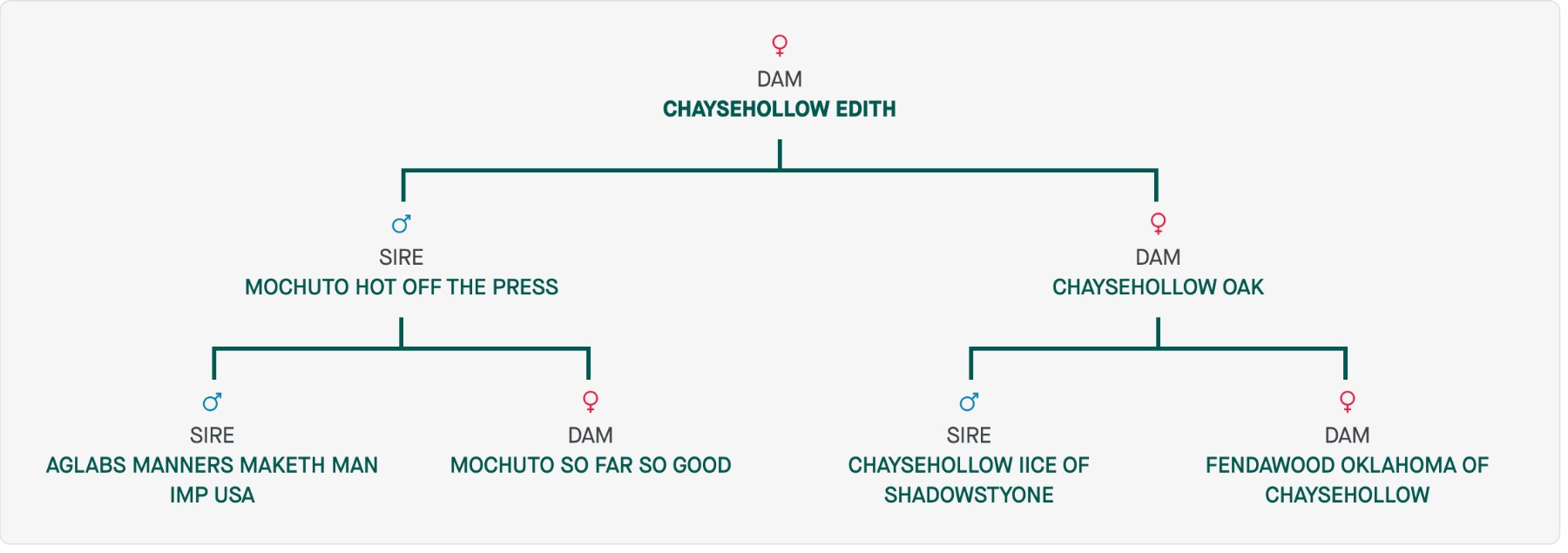 Chaysehollow Mags — official Kennel Club pedigree certificate